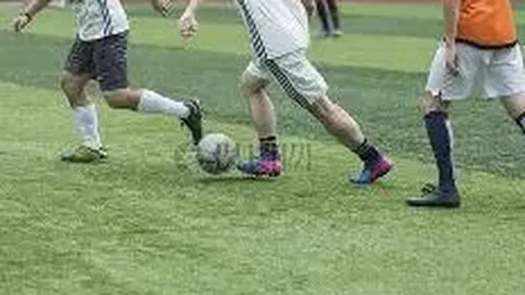 《天津日报》数字报阅读平台