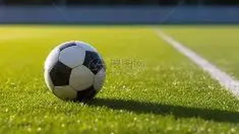 PM体育app下载平台 资讯 093457 x53