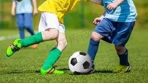 PM体育app下载平台 资讯 093649 w2w