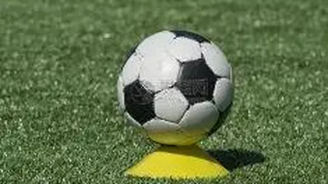 PM体育app下载平台 资讯 093757 y40