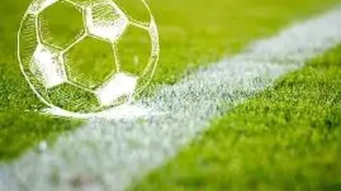 PM体育app下载平台 资讯 093631 jsy