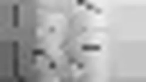 PM体育app下载平台 产品 085516 q34