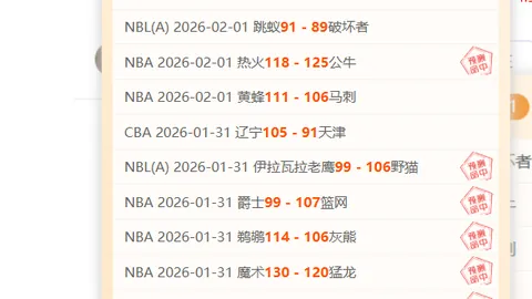 激情对决！马刺雄狮对决火箭火种：NBA常规赛巅峰对决即将上演！